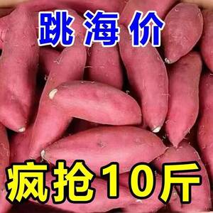 正宗蜜薯新鲜糖心9板栗番薯沙地红薯地瓜蔬菜农家自种六鳌