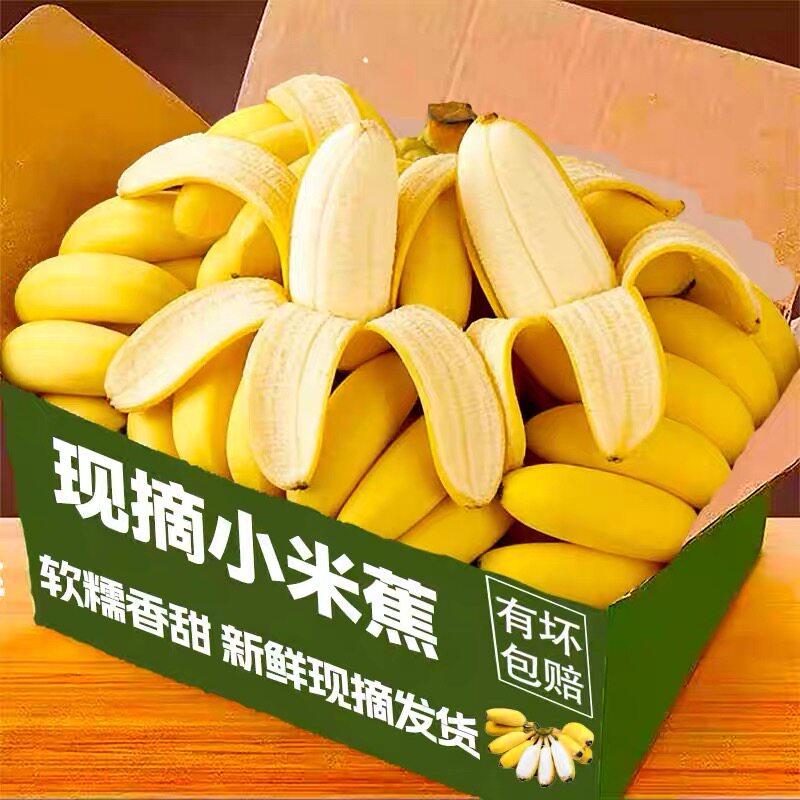 广西香蕉新鲜小米蕉9斤水果包邮小香芭蕉苹果蕉自然熟当季整箱