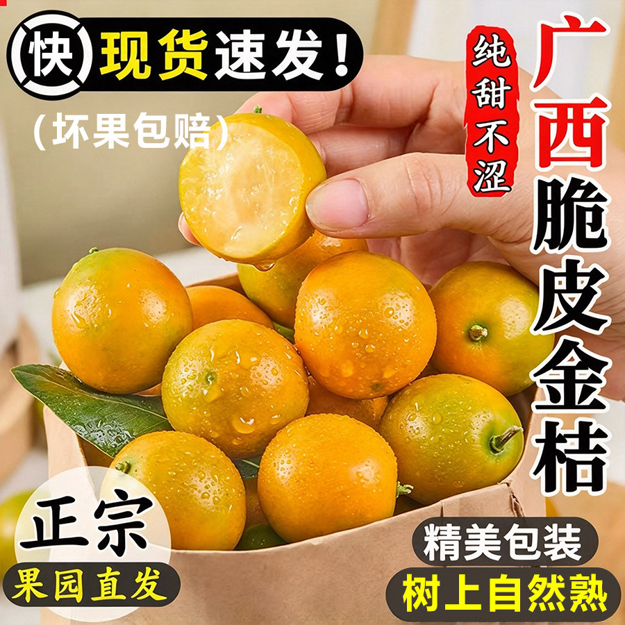 广西脆皮金桔包邮应当季现摘新鲜水果金柑整箱5斤非融安