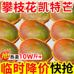 四川攀枝花凯特芒果应当季新鲜水果大芒果青皮芒果包邮攀枝花芒果