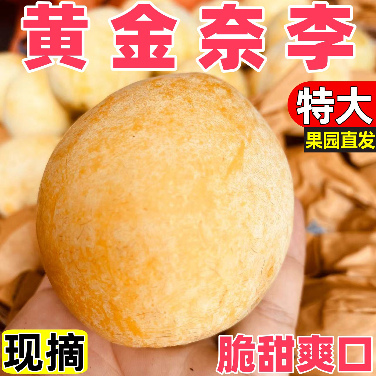 正宗九峰山黄金奈李新鲜水果脆甜冰糖蜂蜜脆骨李子现摘整箱包邮