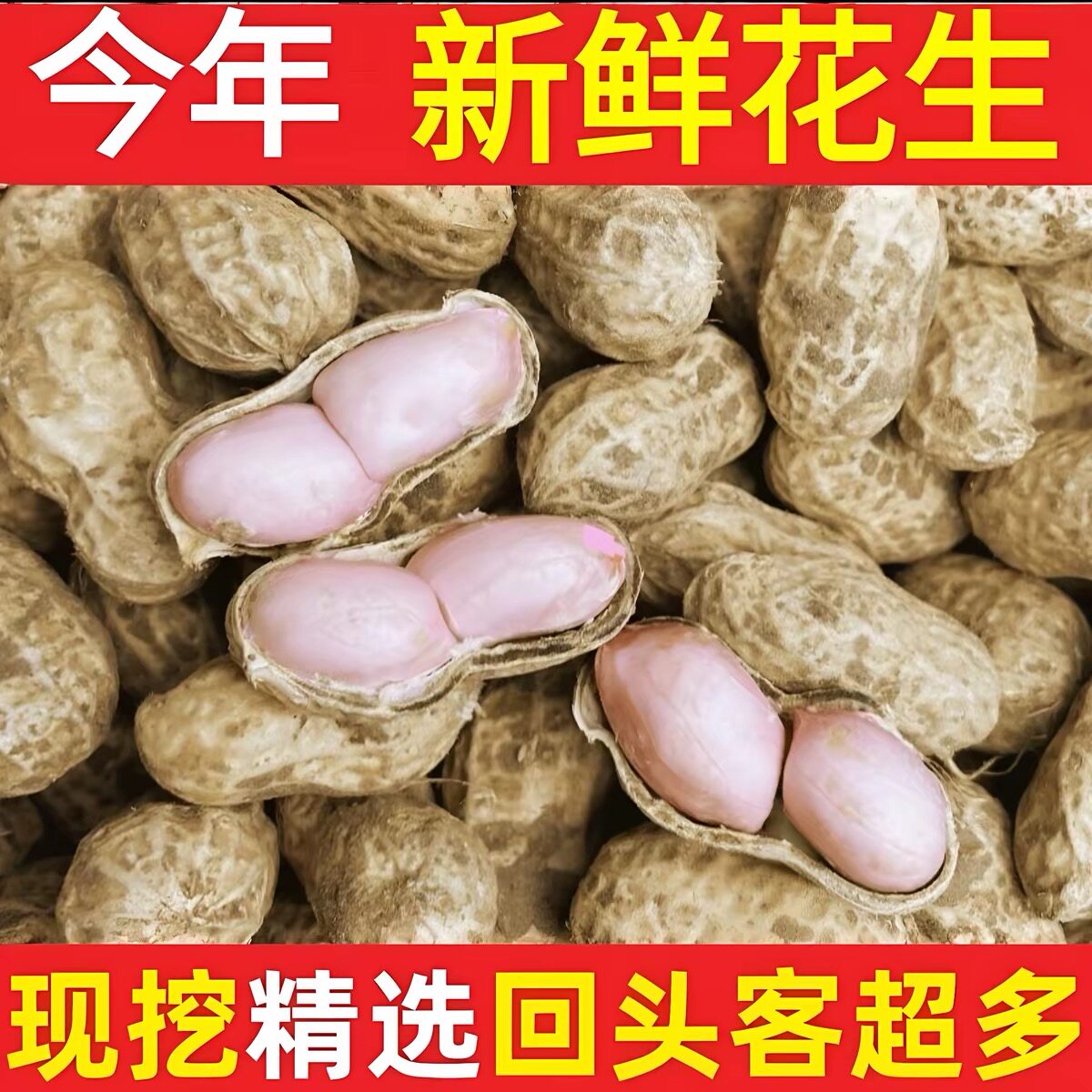 2026年新鲜湿花生5斤现挖现发带壳泥巴花生多粒粉皮可水煮鲜花生