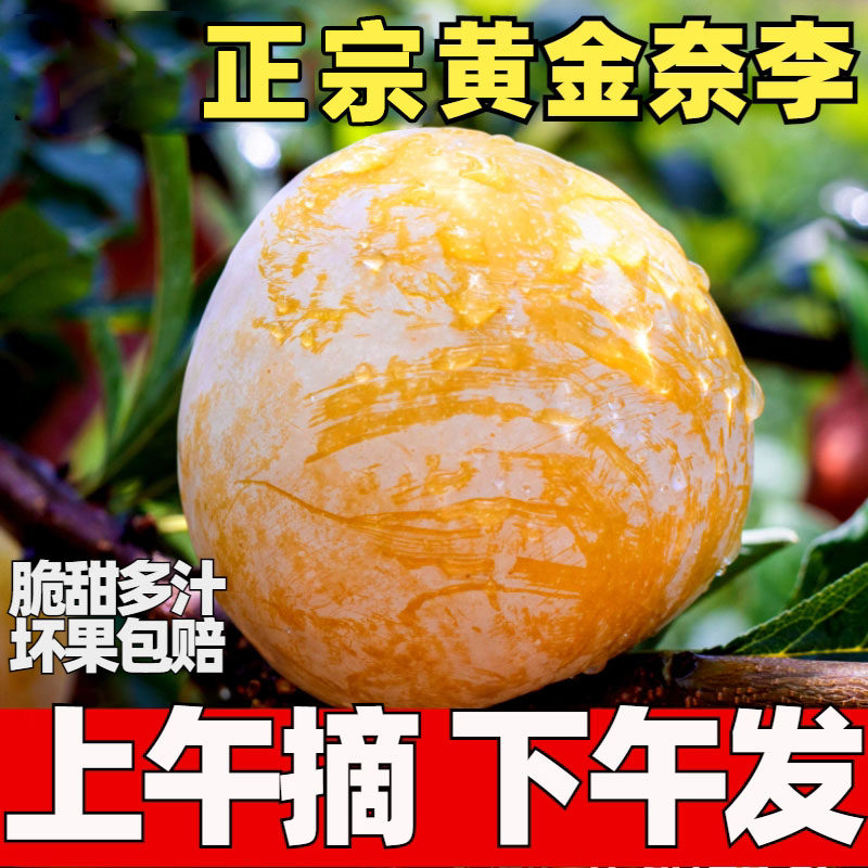 黄金奈李油奈李子新鲜水果当季脱骨蜂糖四川桃花五月整箱三华包邮