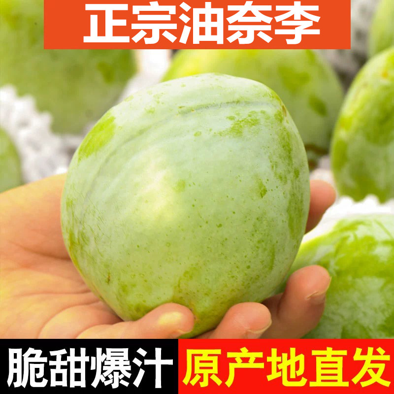 油奈李新鲜特大果现摘5青奈福建脆李子蜂糖脱骨李整箱包邮10