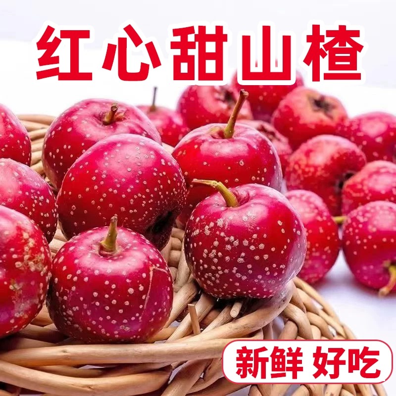 新鲜山楂鲜果甜红子甜口小山楂水果山楂山里红大果冰糖葫芦糖球用