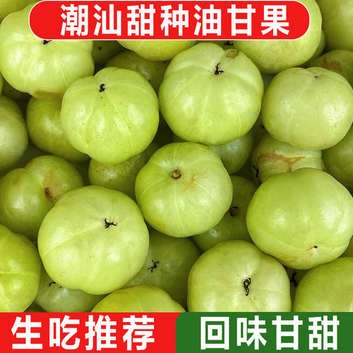正宗潮汕柿饼甜油甘新鲜油甘果余甘牛甘鲜果子孕妇水果滇橄榄崩坎