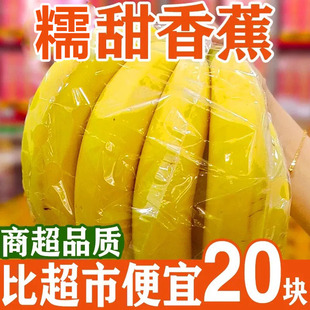 广西高山绿皮香蕉新鲜水果自然熟青皮芭蕉软糯香甜蕉威廉斯现摘斤