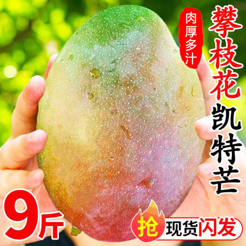 【超大果王】正宗四川攀枝花凯特芒果大芒果孕妇水果新鲜整箱当季