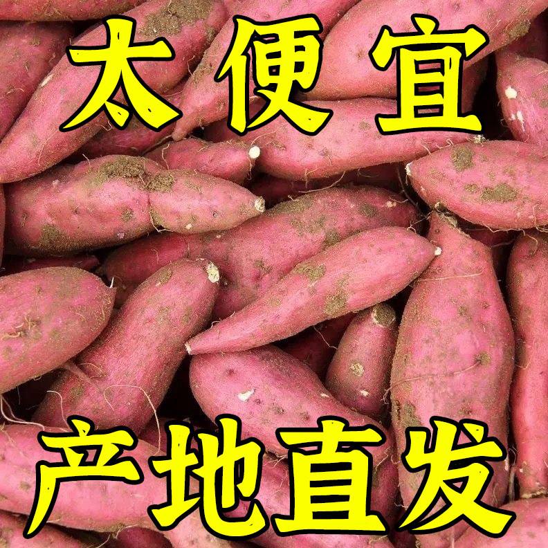 新鲜农家自种红薯沙地黄心蜜薯板栗小番烟薯糖心地瓜红皮红心山芋