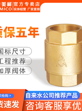 埃美柯立式止f回阀黄铜水表止逆阀4分家用防反水螺纹水边单向阀20