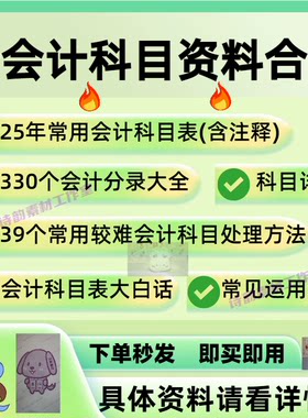 常用会计财务科目表科目详解大白话运用秘笈术语解释分录 非书籍