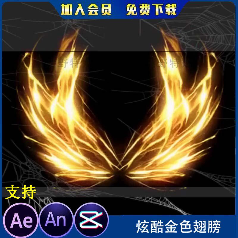 炫酷金色翅膀透明底沙雕动画玄幻修仙飞行特效 an特效素材ae特效