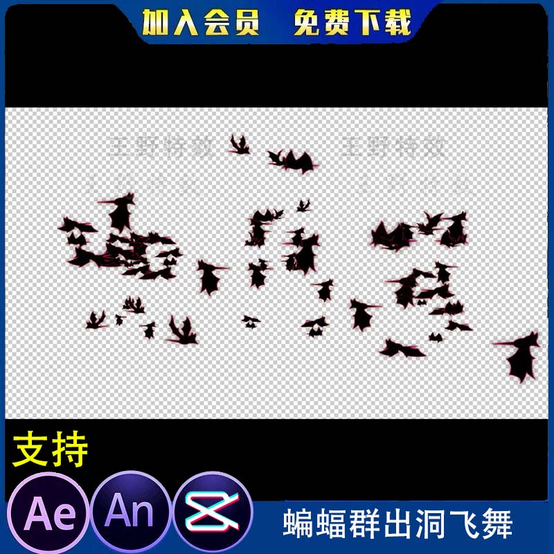 沙雕动画蝙蝠群出洞飞舞万圣节黑色蝙蝠AE视频透明通道AN特效素材