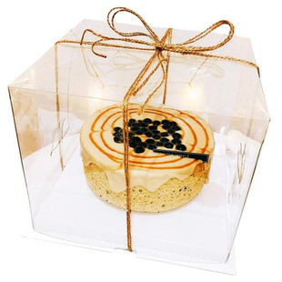 蛋糕盒透明 盒网红气球生日蛋糕盒子 四4寸6寸8寸10寸双层加高包装