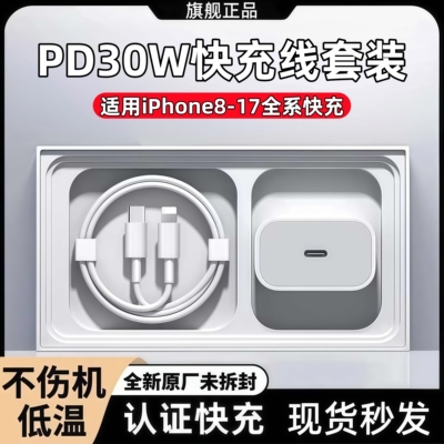 【官方正品】苹果8-17快充充电器