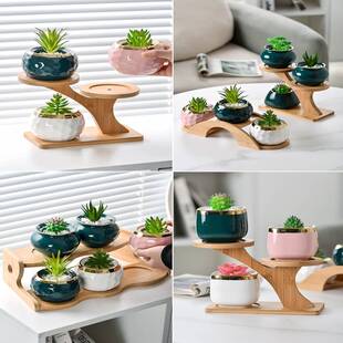 桌面多肉专用花架多层花盆栽架子小型家用室内绿植盆景植物摆放架