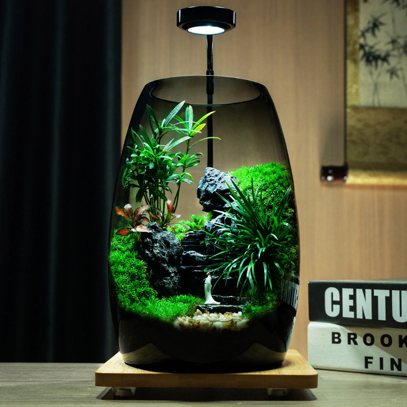 苔藓流水生态缸苔藓观赏微景观摆件生态瓶桌面造景办公桌面植盆景,家居饰品,流水摆件,淘宝优惠券,粉丝福利购,淘宝优惠卷