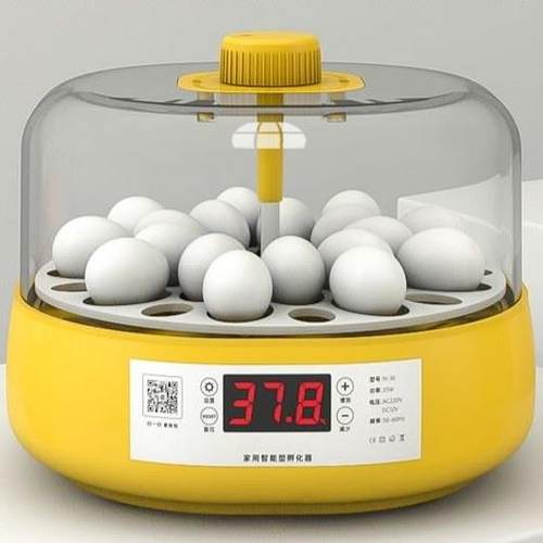 孵化器智能全自动加湿控温翻蛋孵化机小鸡小鸭小鸟鹦鹉鸽子孵蛋器