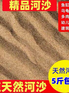 纯天然河沙养花细沙多肉