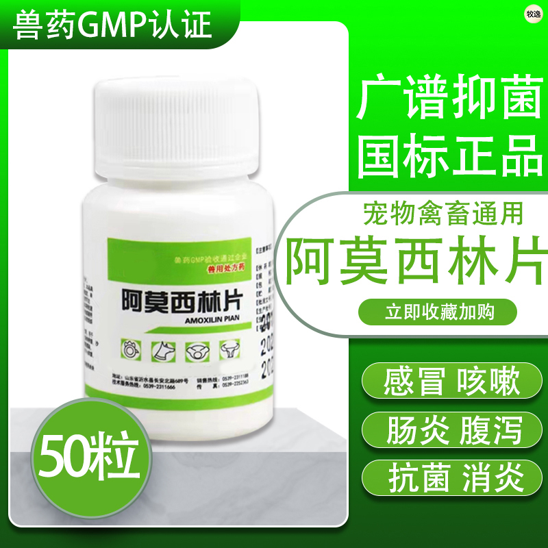 兽药阿莫西林片猫狗咳嗽感冒消炎