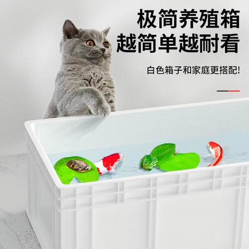 龟缸乌龟饲养缸大乌龟养殖箱乌龟周转箱养龟专用家用带排水生态缸