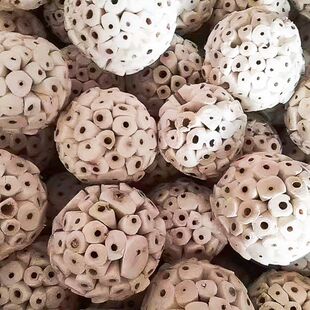 鹦鹉新款可食用球天然荷兰猪兔子鸟仓鼠啃觅食玩具玩具通草鸟咬