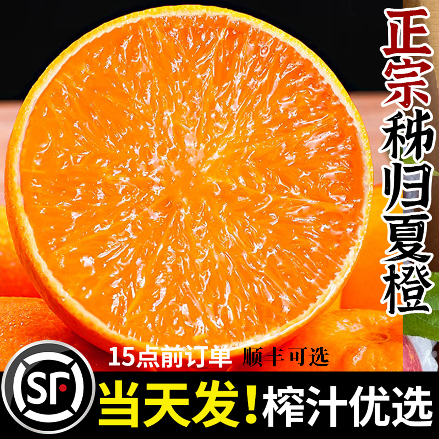 【新鲜现摘】9斤秭归夏橙