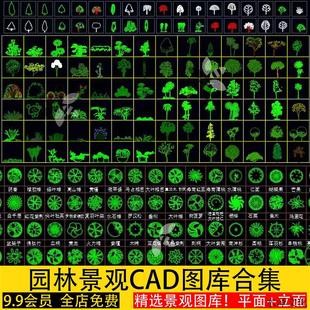 园林景观天正CAD树木乔木灌木植物图块人物平面立面铺装图库素材