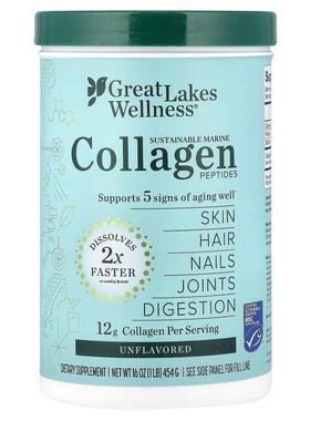 Great Lakes Wellness,可持续海洋胶原蛋白肽，原味，16 盎司（45