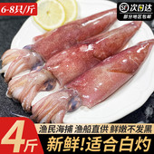 新鲜鱿鱼生鲜舟山海捕冰鲜冷冻冰冻笔管鱿鱼特大小管鱿可以白灼