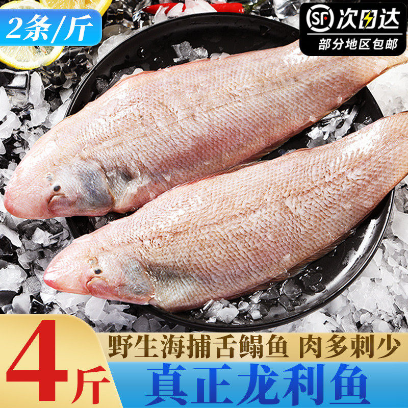 真正龙利鱼新鲜冷冻大舌鳎鱼特大玉秃鱼护眼鱼商用鱼排非巴沙鱼片