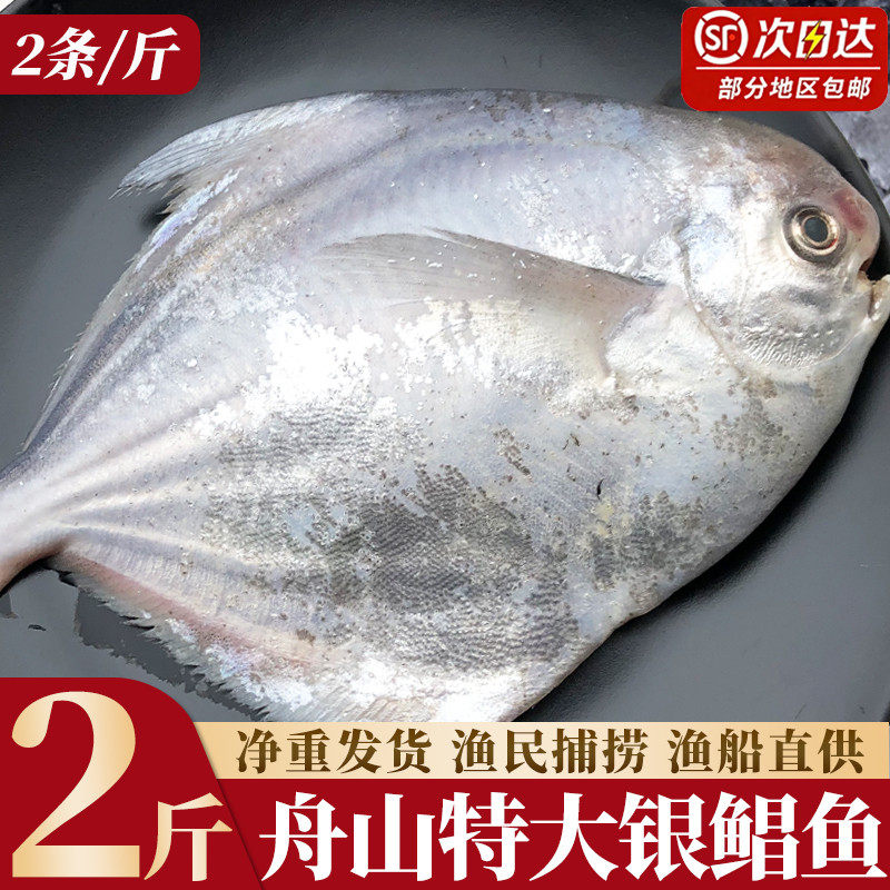 特大银鲳鱼新鲜冷冻舟山白鲳鱼鲜活海鲜水产海捕大昌鱼平鱼鲳鳊鱼,水产肉类/新鲜蔬果/熟食,鲳鱼,淘宝优惠券,粉丝福利购,淘宝优惠卷