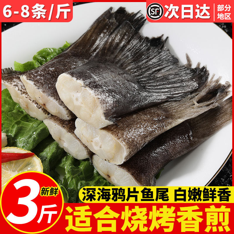 鸦片鱼尾新鲜鲽鱼尾深海大碟鱼尾鲜活冷冻鱼尾巴鲽鱼鱼尾烧烤商用