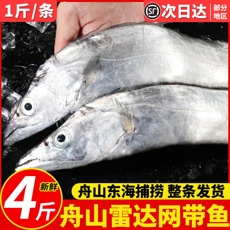 净重4斤不包冰衣特大东海带鱼
