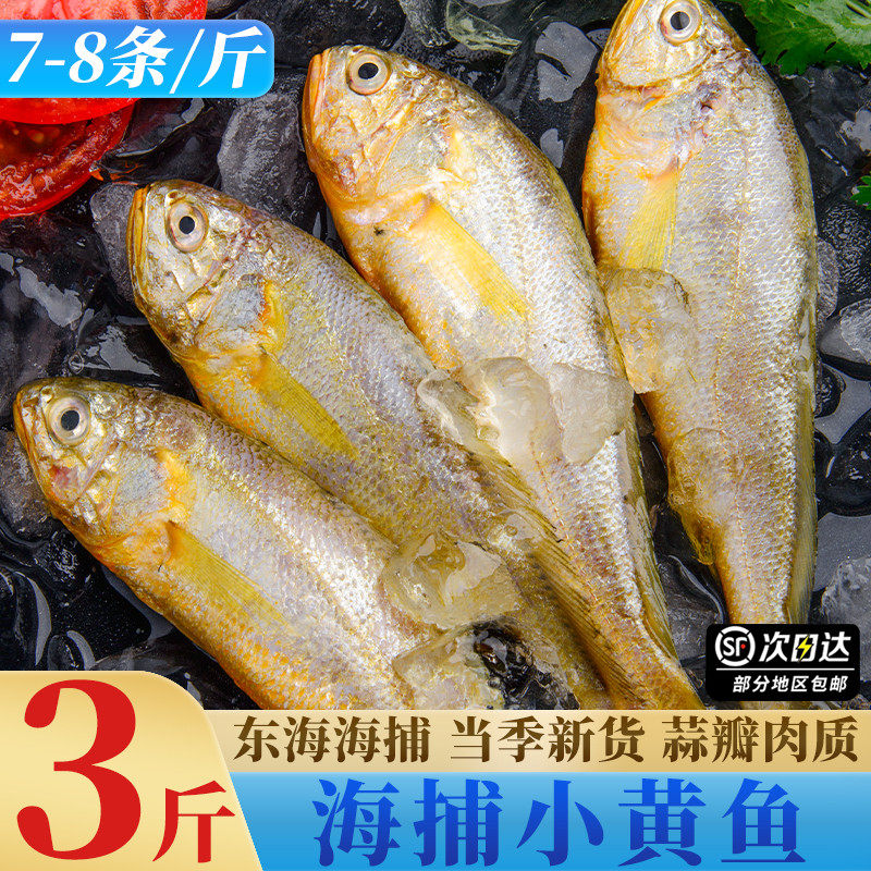 海捕小黄鱼新鲜冷冻东海舟山宁波海捕小黄花鱼商用批发烧烤油炸