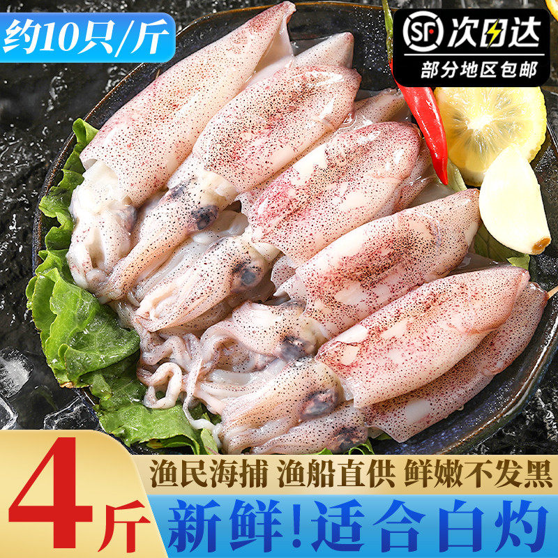 海捕新鲜鱿鱼生鲜小鱿鱼冰鲜冷冻鲜活海鲜水产冰冻笔管鱿鱼小管鱿