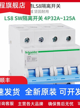 原装正品 施耐德LS8 SW隔离开关 4P32A~63A~100A~125A 闸刀总开关