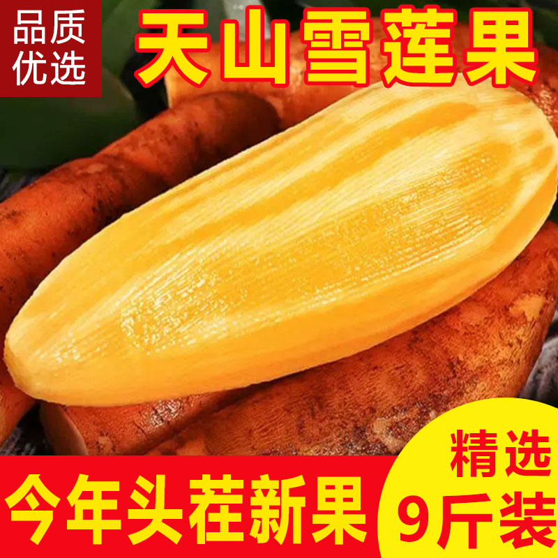 2026年新果精品新鲜云南天山黄肉雪莲果新鲜水果脆甜多汁9斤包邮