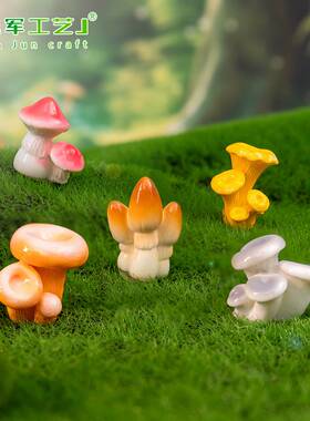 苔藓微景观创意小蘑菇diy小摆件