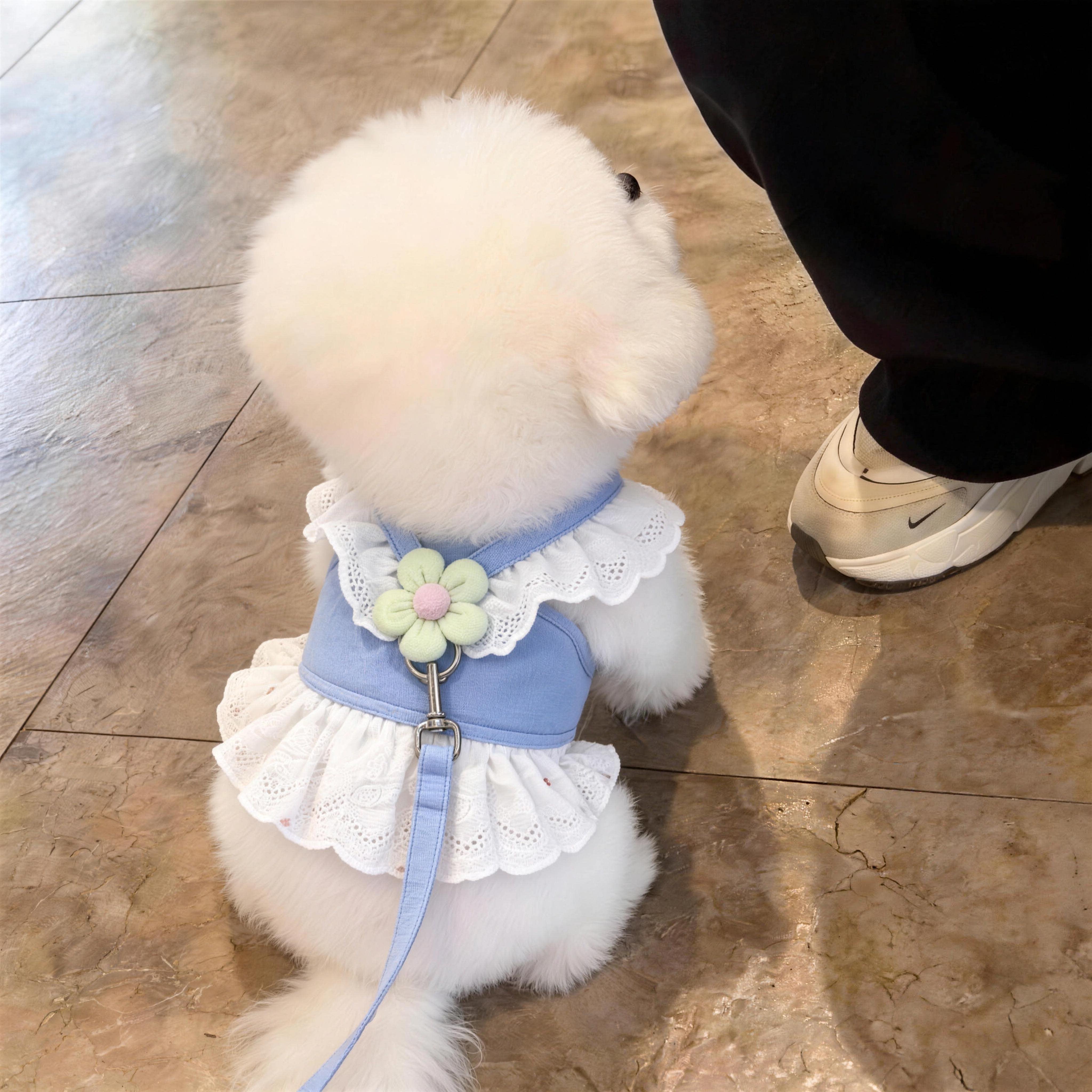 狗牵引绳宠物胸背遛狗绳背心式中小型犬比熊幼犬外出新款可调节