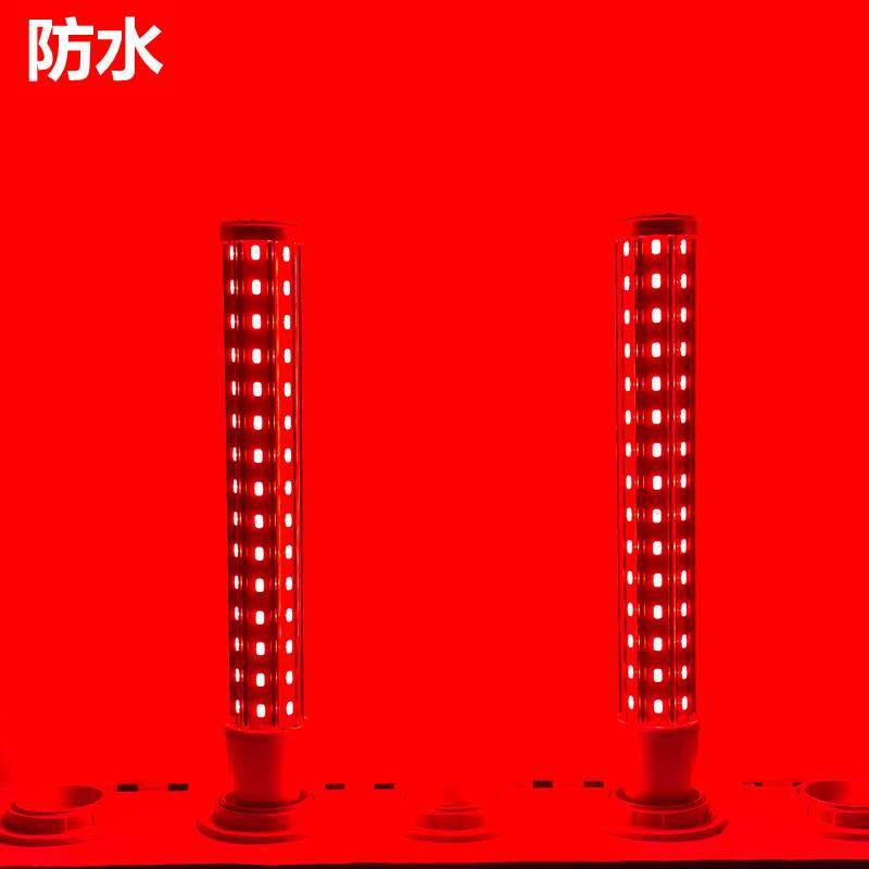 户外防水灯笼灯泡LED红光玉米灯彩色E27螺口年货婚庆氛围植物生长,家装灯饰光源,LED玉米灯,淘宝优惠券,粉丝福利购,淘宝优惠卷