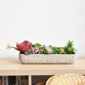 九思长条方形彷真多肉组合盆栽绿植花艺水泥盆桌摆装 饰礼品art273