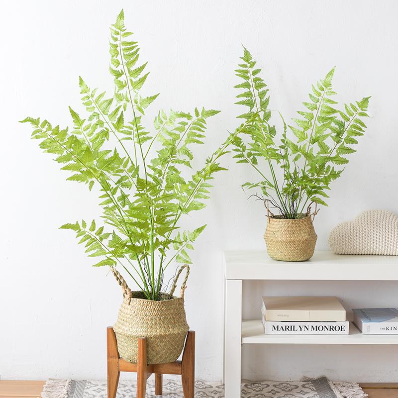 阿楹 高端仿真蕨类植物盆栽氛围造景 桌面假绿植仿生树装饰摆件大