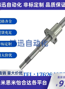 滚珠丝杠丝杆C-BSSC/BSSCK/BSST/BSSZ/BSSRK0802 1004 1002 1204