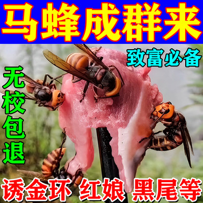 马蜂诱蜂水黑尾金环虎头红娘招蜂