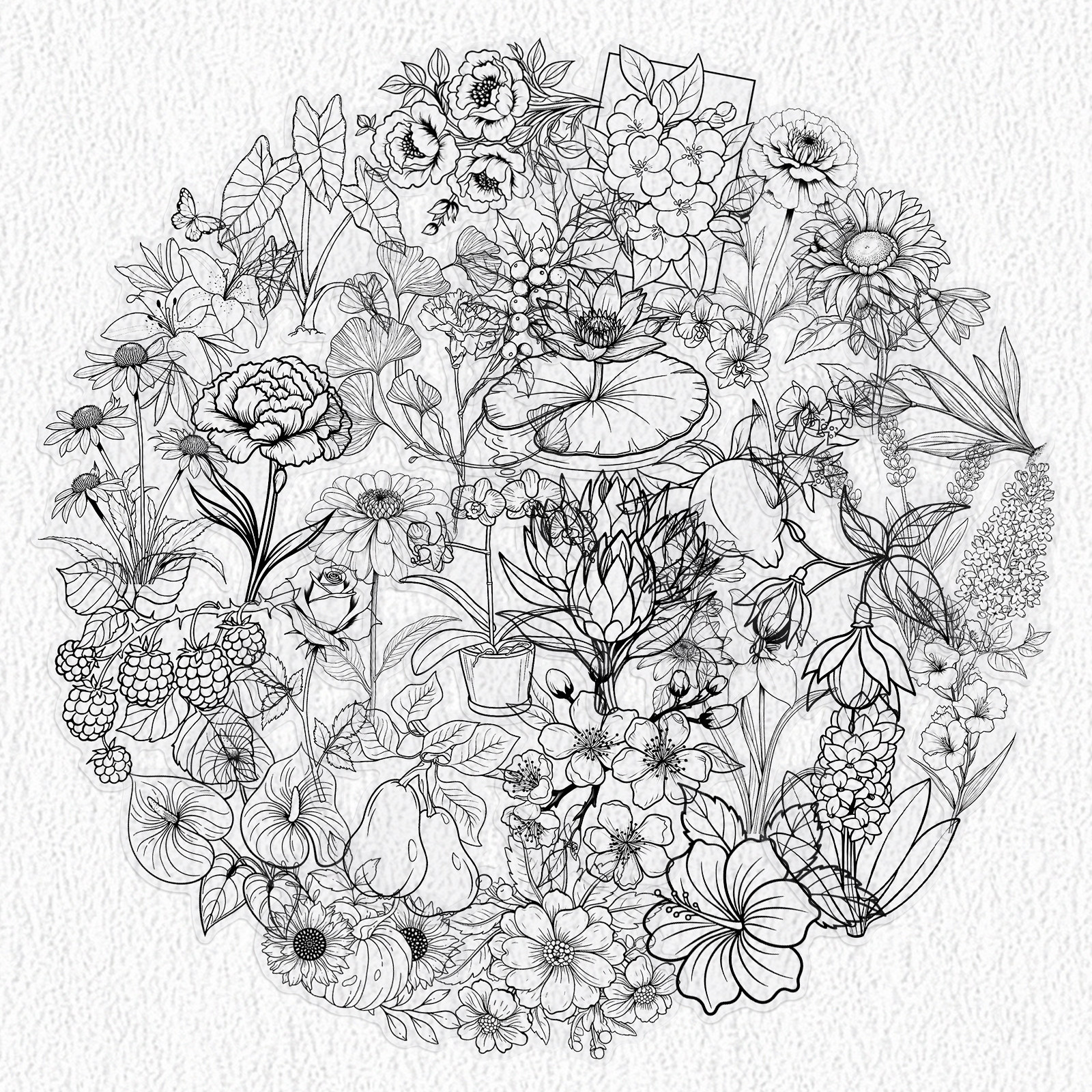 简约黑白鲜花植物透明ins风贴纸图片