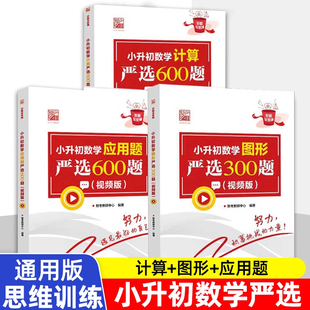 正版 数学图形严选专项训练小升初衔接教材全国通用小学生解题方法技巧大全书籍 小升初数学计算严选600题 数学应用题严选600题