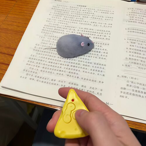 逗猫咪小玩具卡通仿真红外线电动遥控老鼠模型新奇特老鼠整蛊玩具