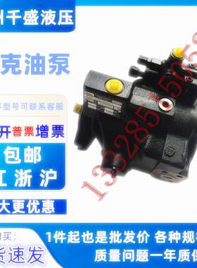 柱塞泵PVP48202R211 高压 PVP4830B2R210 派克PVP48微型 油泵配件