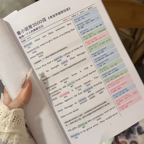 《某某》3500单词看小说背英语单词周边礼物送闺蜜对象学习彩页本